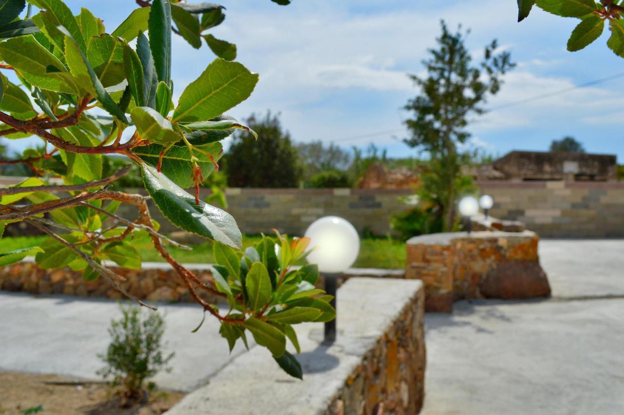 Il Sogno Di Stella *